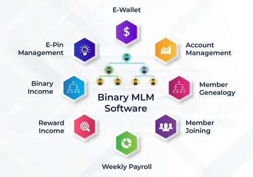 Leading Binary MLM Software Development Company in Kolkata